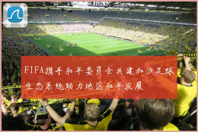 FIFA携手和平委员会共建加沙足球生态系统助力地区和平发展