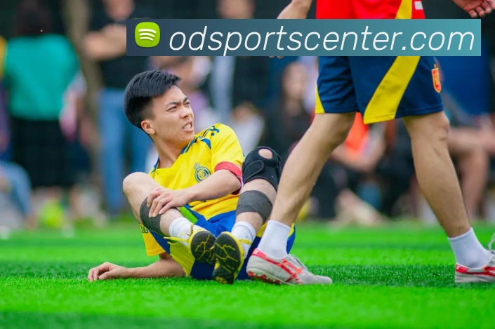 多媒体互动体验